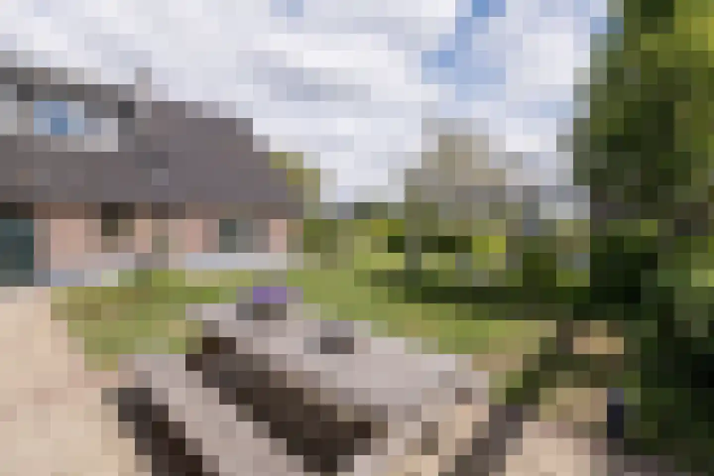 Brugveenseweg 58 Voorthuizen thumbnail 38