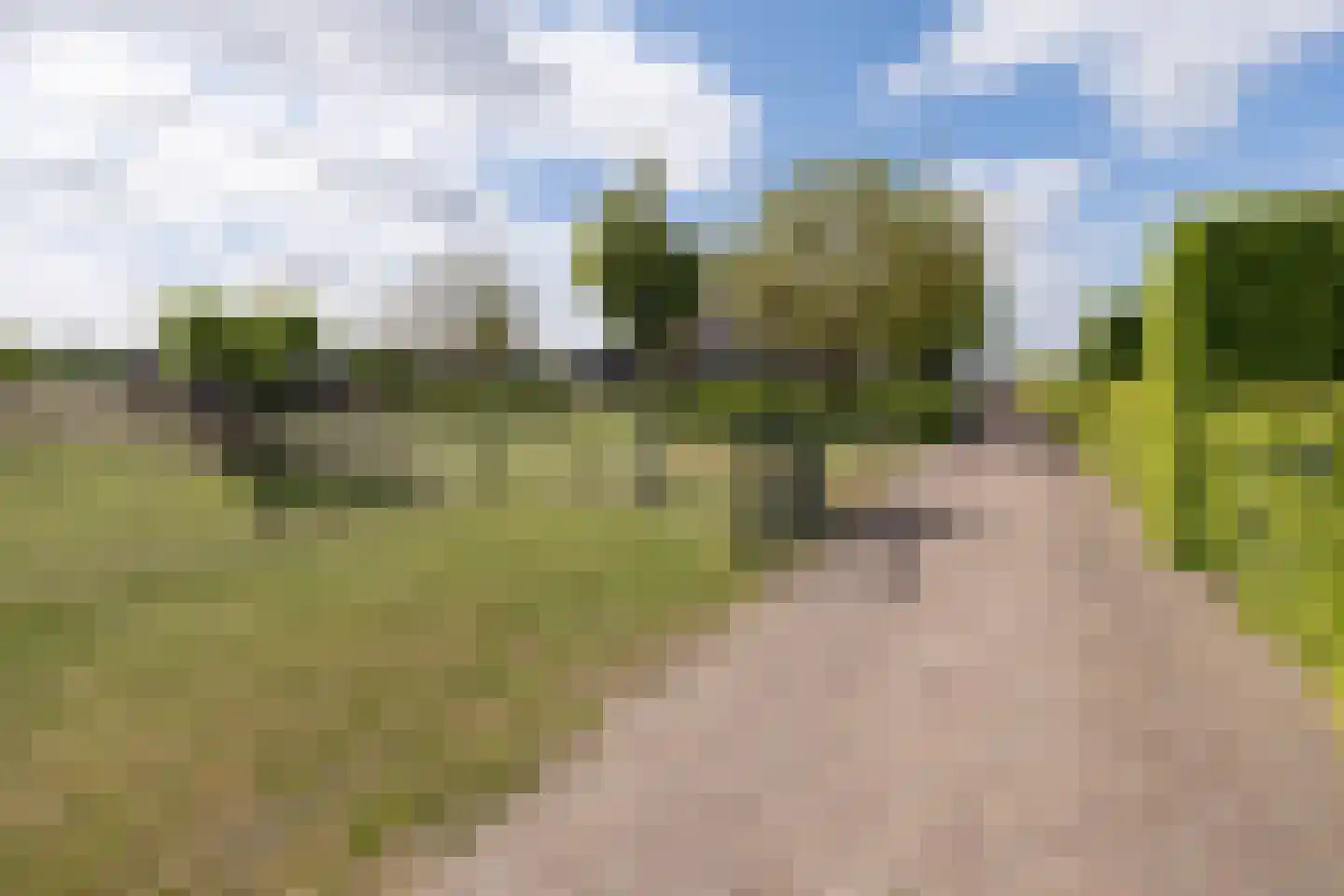 Brugveenseweg 58 Voorthuizen thumbnail 64