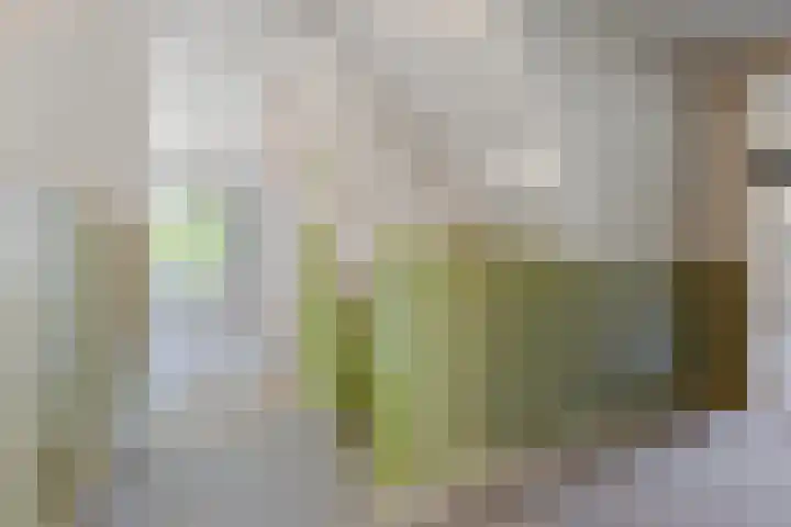 Brugveenseweg 69 Voorthuizen thumbnail 21