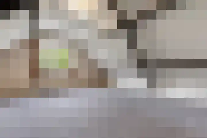 Brugveenseweg 69 Voorthuizen thumbnail 25
