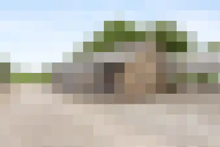 Brugveenseweg 69 Voorthuizen thumbnail 29