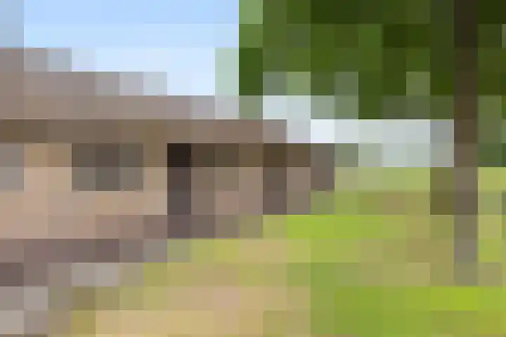 Brugveenseweg 69 Voorthuizen thumbnail 30