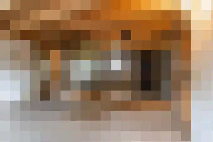 Brugveenseweg 69 Voorthuizen thumbnail 36