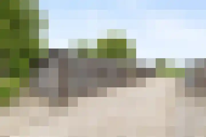 Brugveenseweg 69 Voorthuizen thumbnail 38