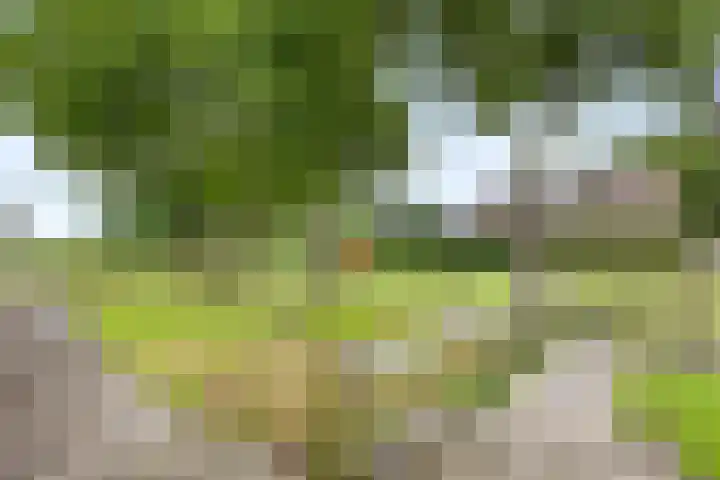 Brugveenseweg 69 Voorthuizen thumbnail 39