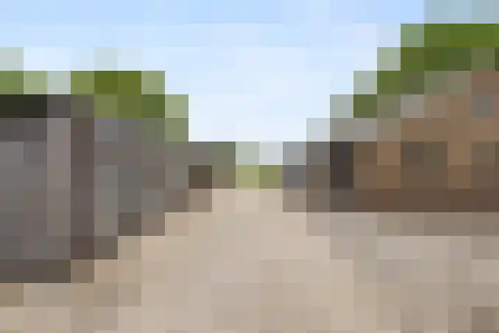 Brugveenseweg 69 Voorthuizen thumbnail 4