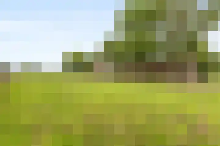 Brugveenseweg 69 Voorthuizen thumbnail 40