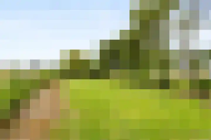 Brugveenseweg 69 Voorthuizen thumbnail 41