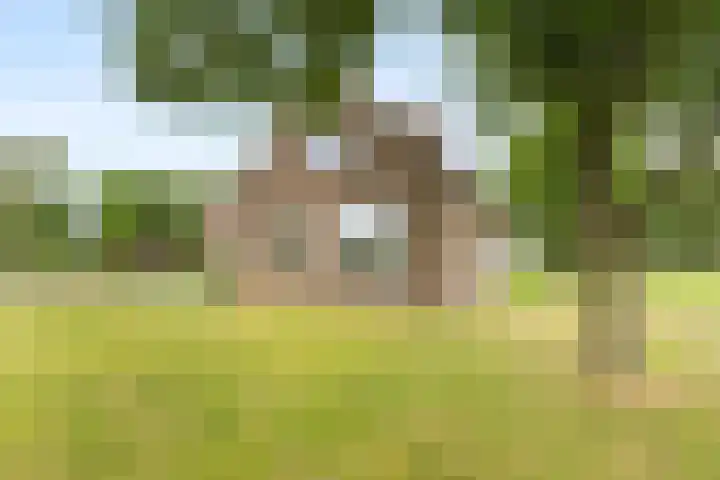 Brugveenseweg 69 Voorthuizen thumbnail 42