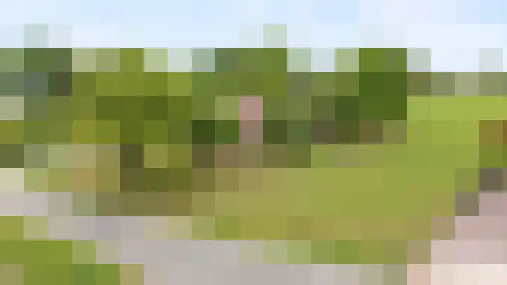 Brugveenseweg 69 Voorthuizen thumbnail 43