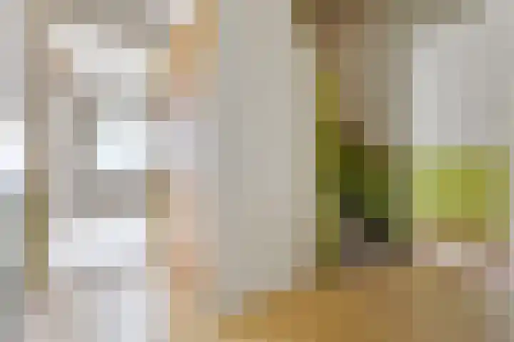 Brugveenseweg 69 Voorthuizen thumbnail 6