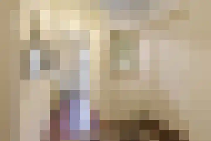 Brugwacht 102 Leiderdorp thumbnail 12
