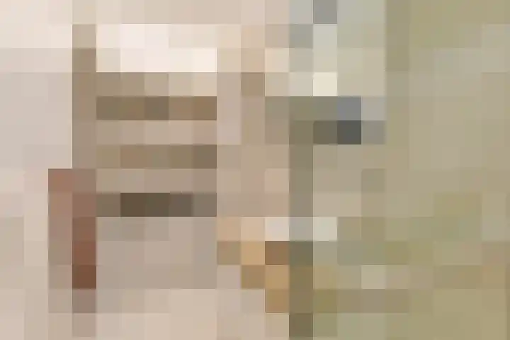 Brugwacht 102 Leiderdorp thumbnail 20