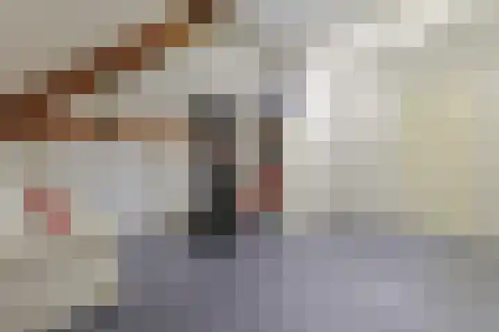 Brugwacht 102 Leiderdorp thumbnail 29