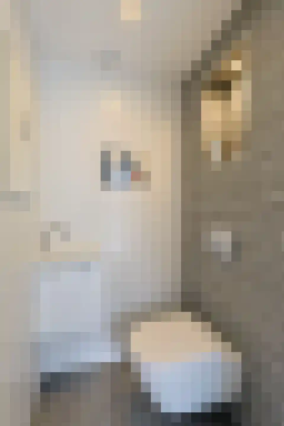 Brugwacht 11 Leiderdorp thumbnail 11