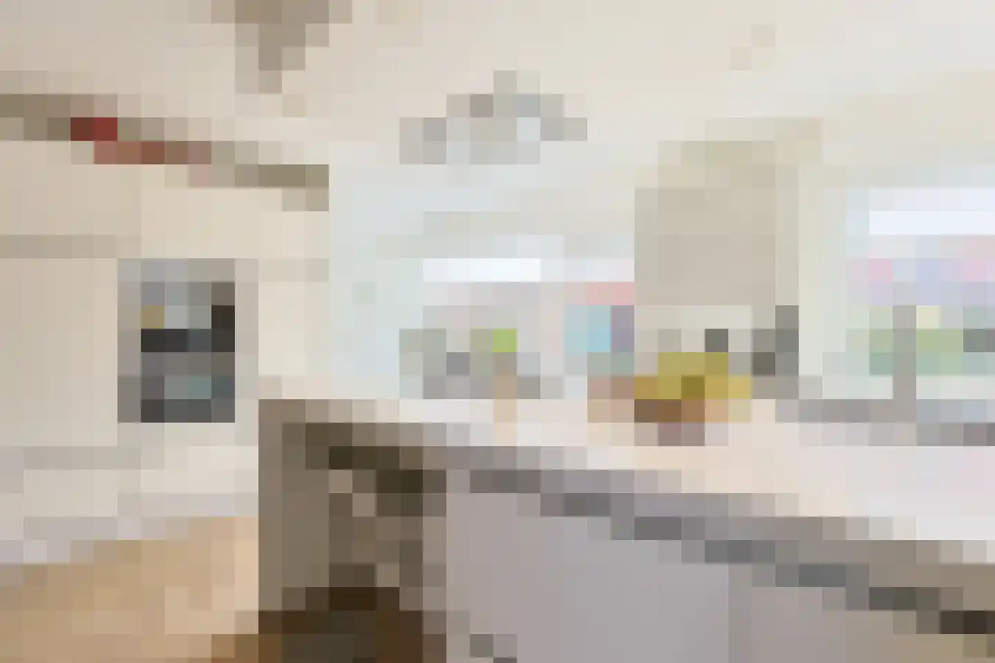 Brugwacht 11 Leiderdorp thumbnail 14