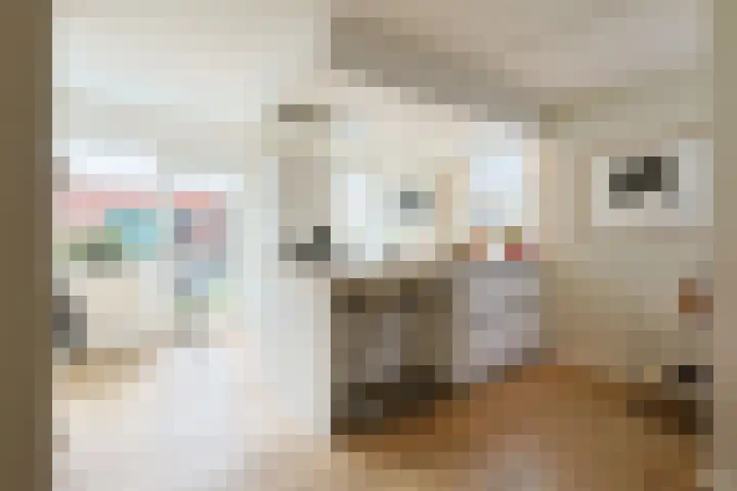 Brugwacht 11 Leiderdorp thumbnail 15