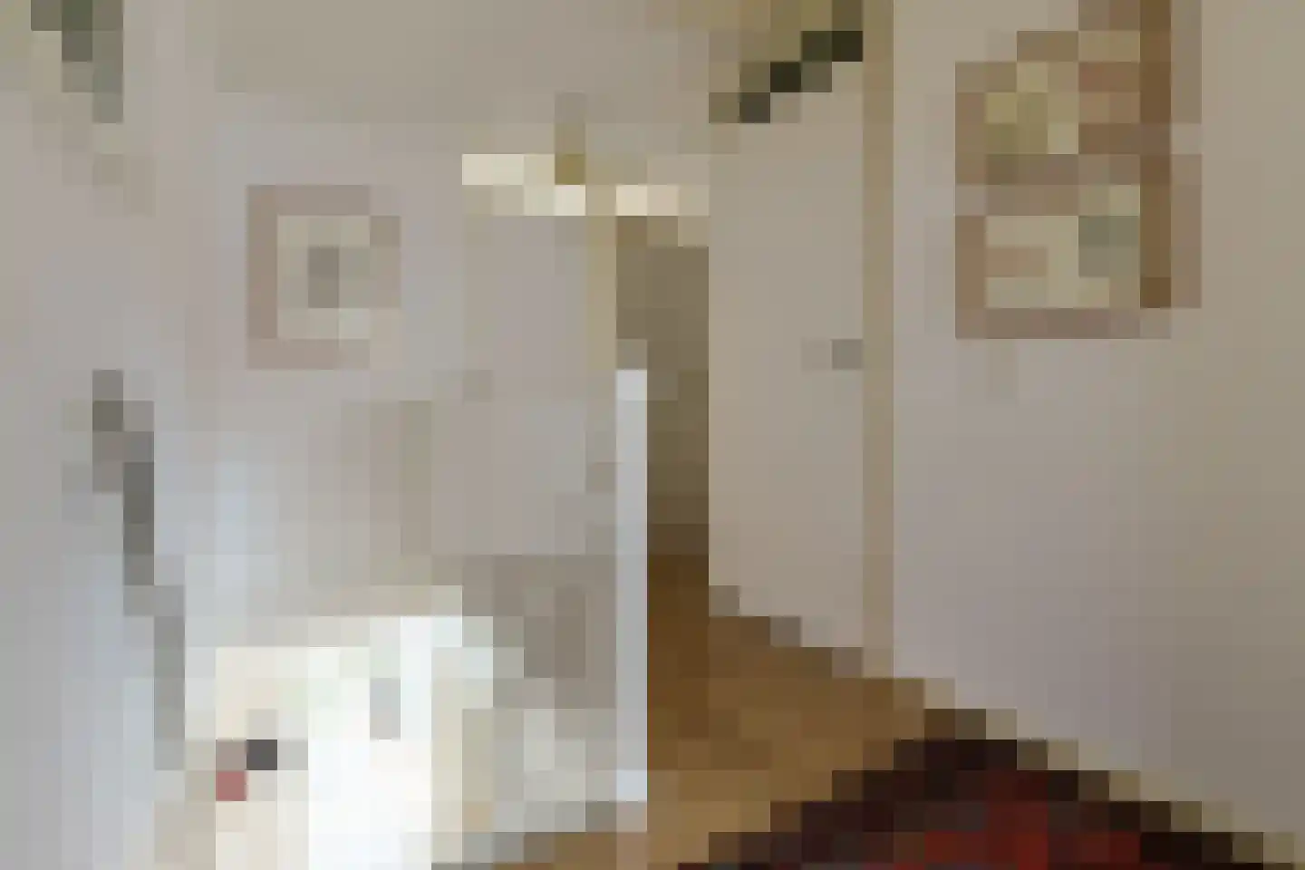 Brugwacht 11 Leiderdorp thumbnail 31