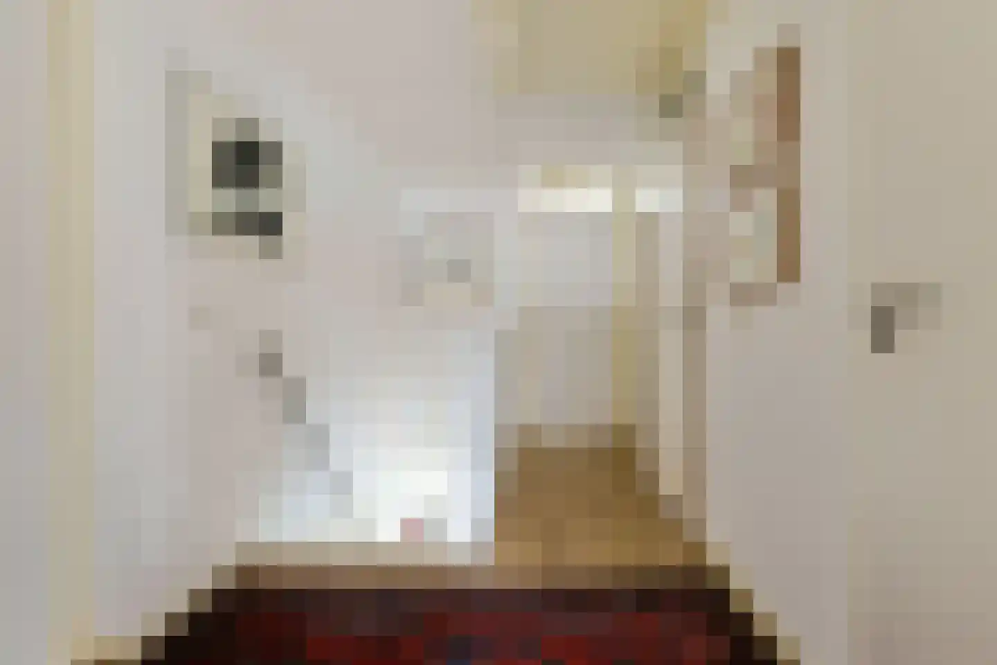 Brugwacht 11 Leiderdorp thumbnail 32