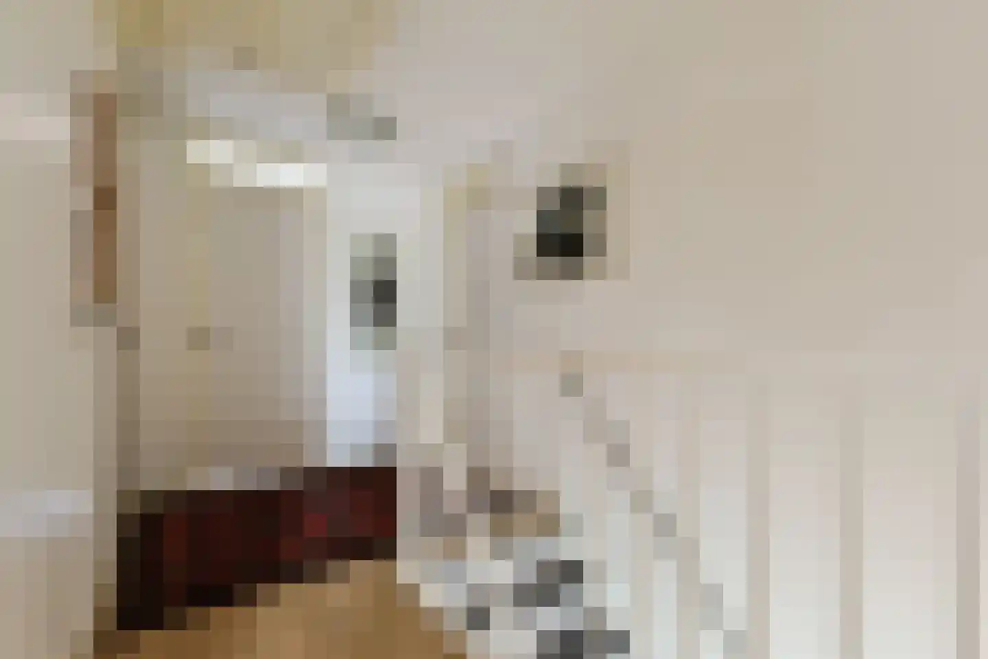 Brugwacht 11 Leiderdorp thumbnail 33