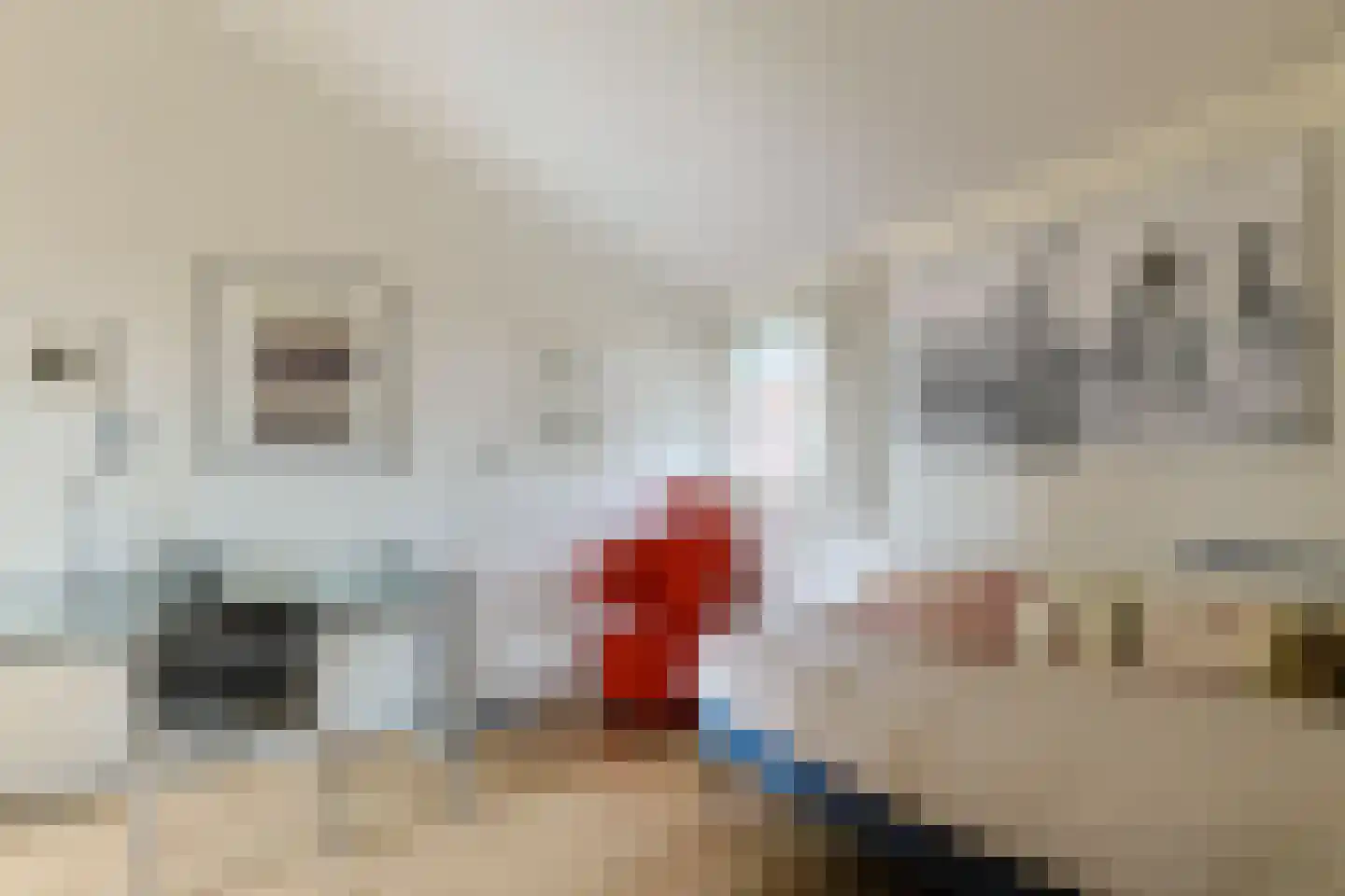 Brugwacht 11 Leiderdorp thumbnail 4