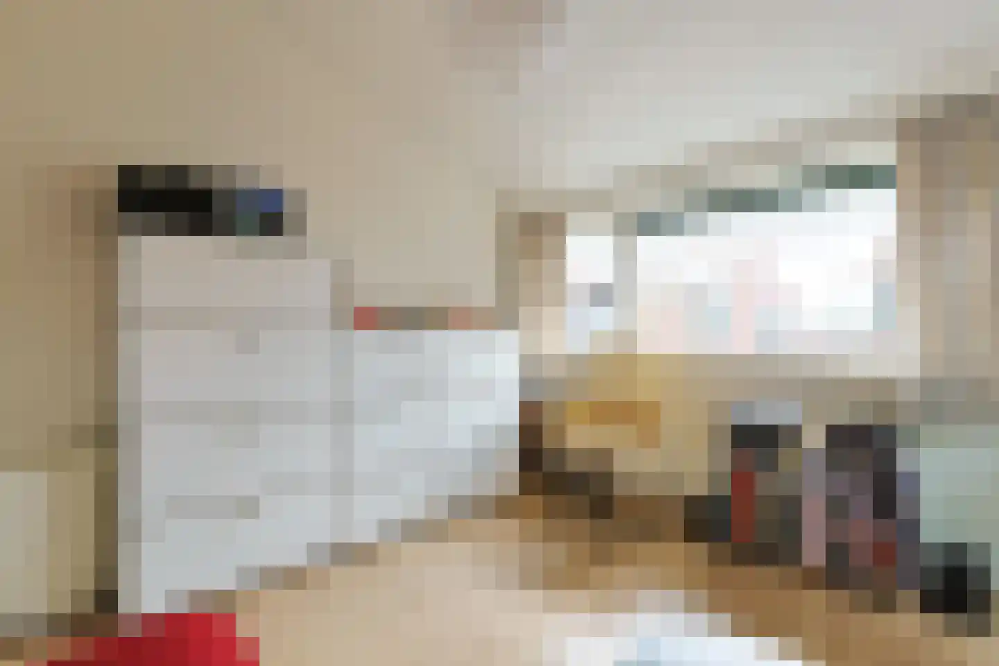 Brugwacht 11 Leiderdorp thumbnail 45