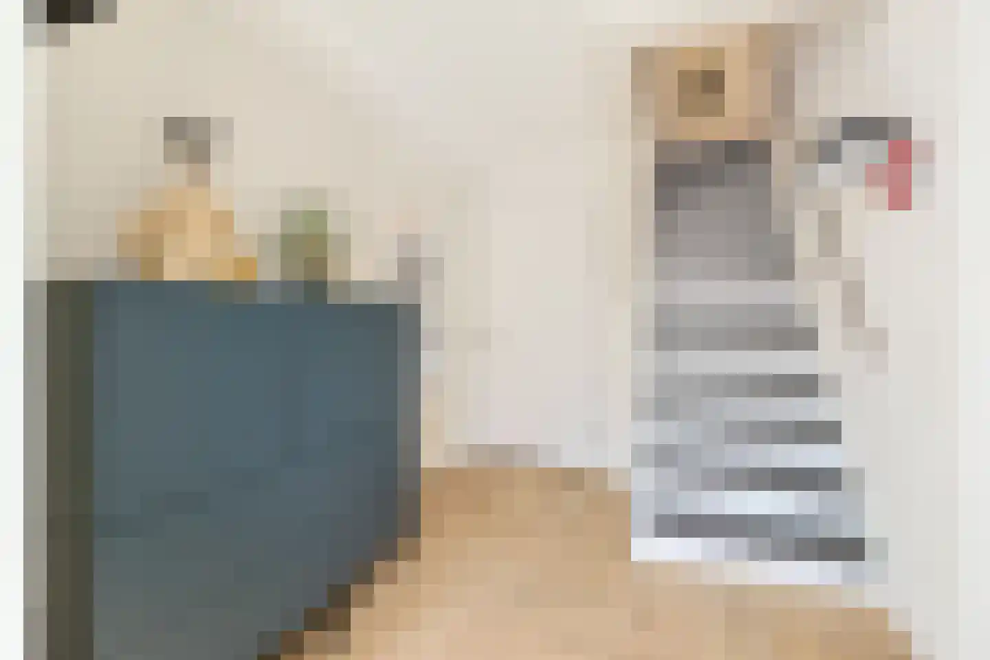 Brugwacht 11 Leiderdorp thumbnail 5