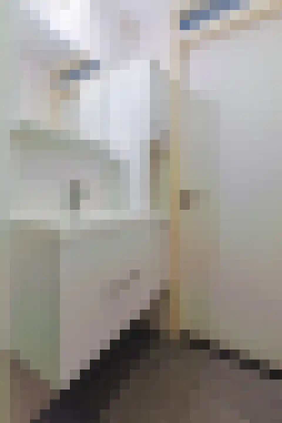 Brugwacht 11 Leiderdorp thumbnail 56