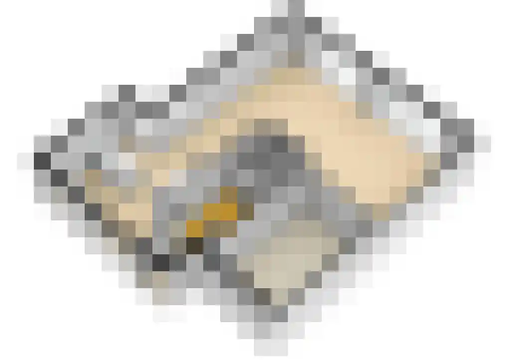 Brugwacht 11 Leiderdorp thumbnail 79