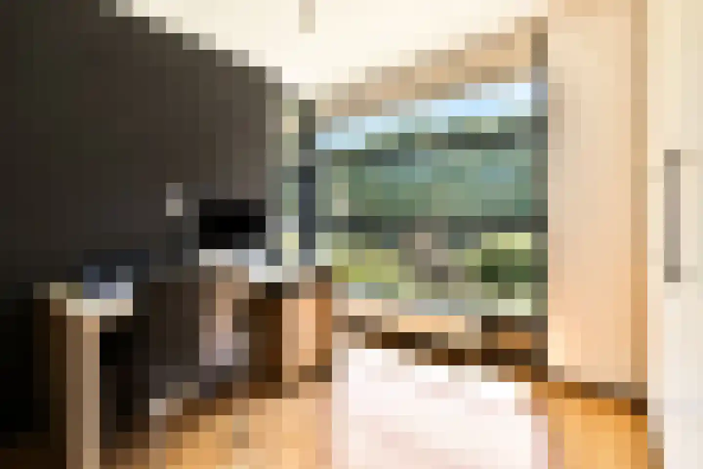 Brugwacht 122 Leiderdorp thumbnail 17