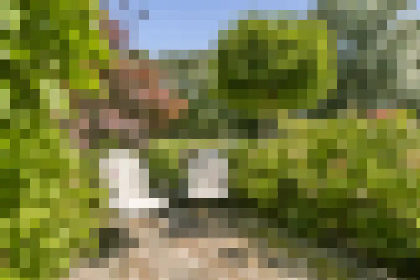 Brugwacht 122 Leiderdorp thumbnail 19