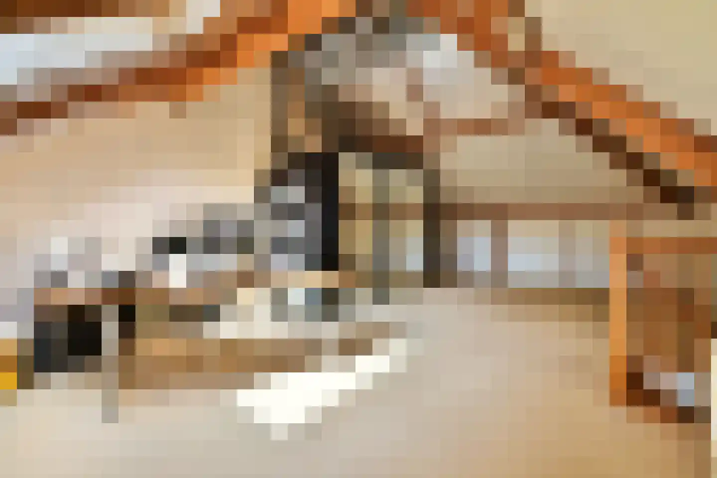 Brugwacht 122 Leiderdorp thumbnail 26