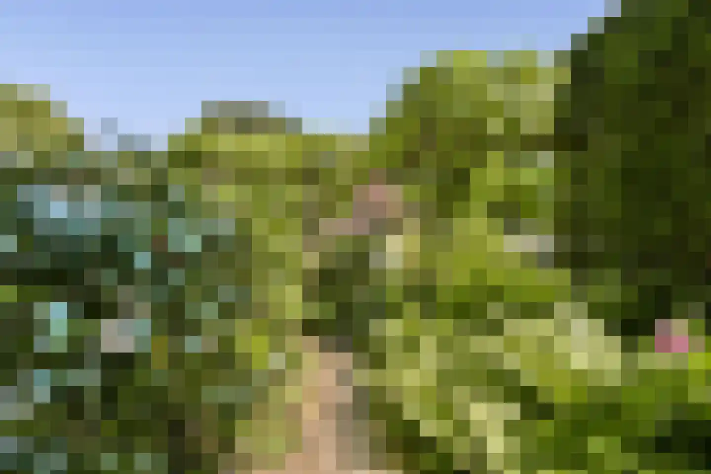 Brugwacht 122 Leiderdorp thumbnail 27