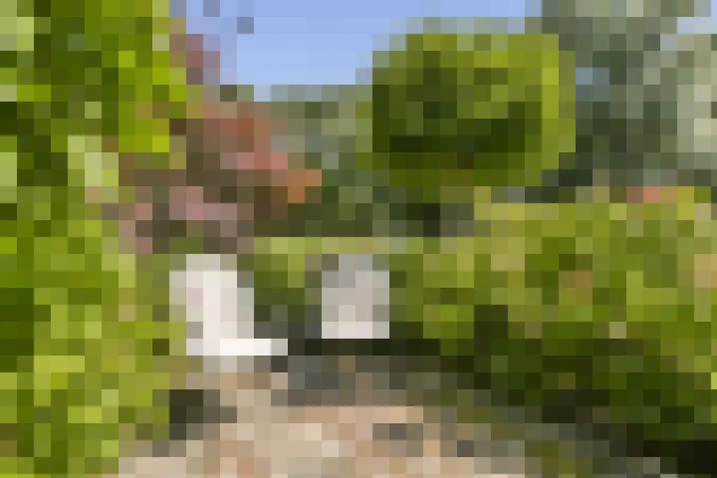 Brugwacht 122 Leiderdorp thumbnail 30