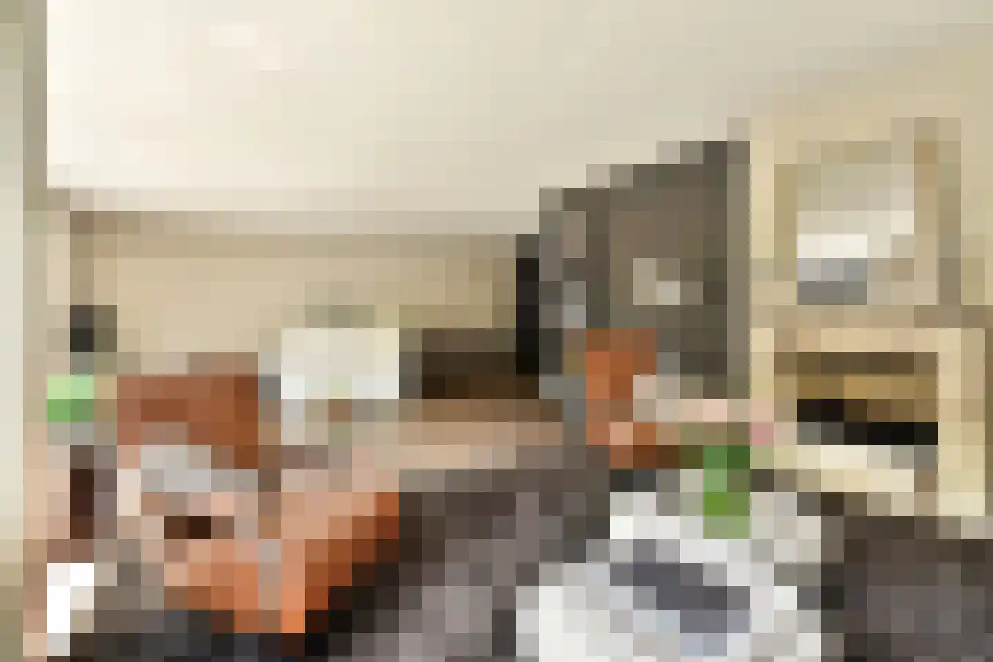 Brugwacht 122 Leiderdorp thumbnail 4