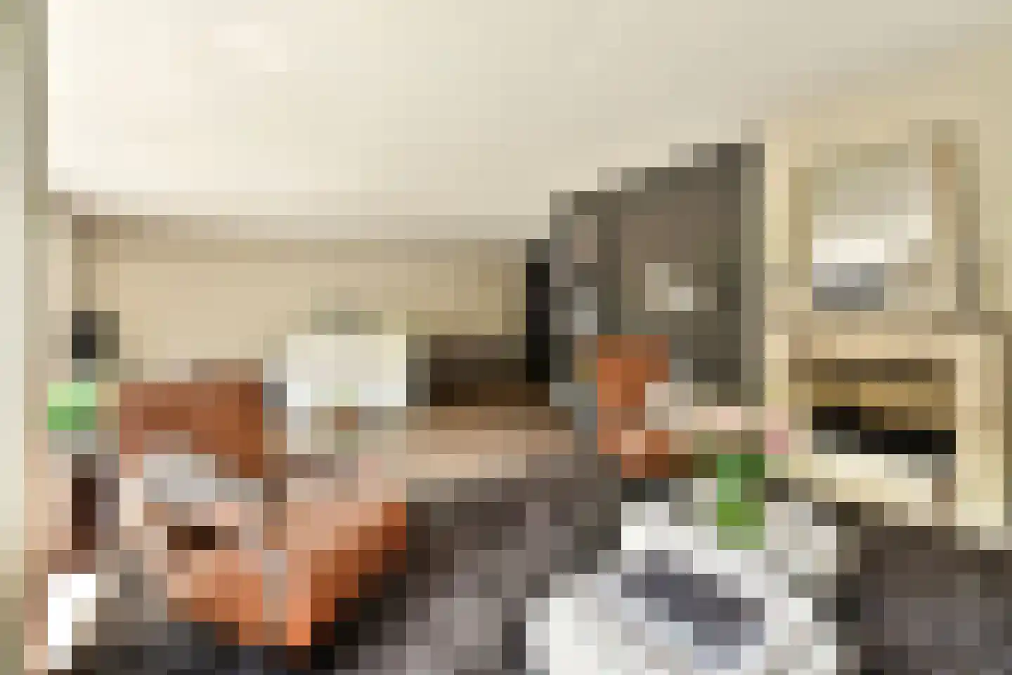 Brugwacht 122 Leiderdorp thumbnail 4