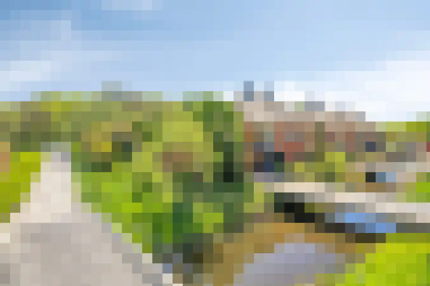 Brugwacht 158 Leiderdorp thumbnail 12