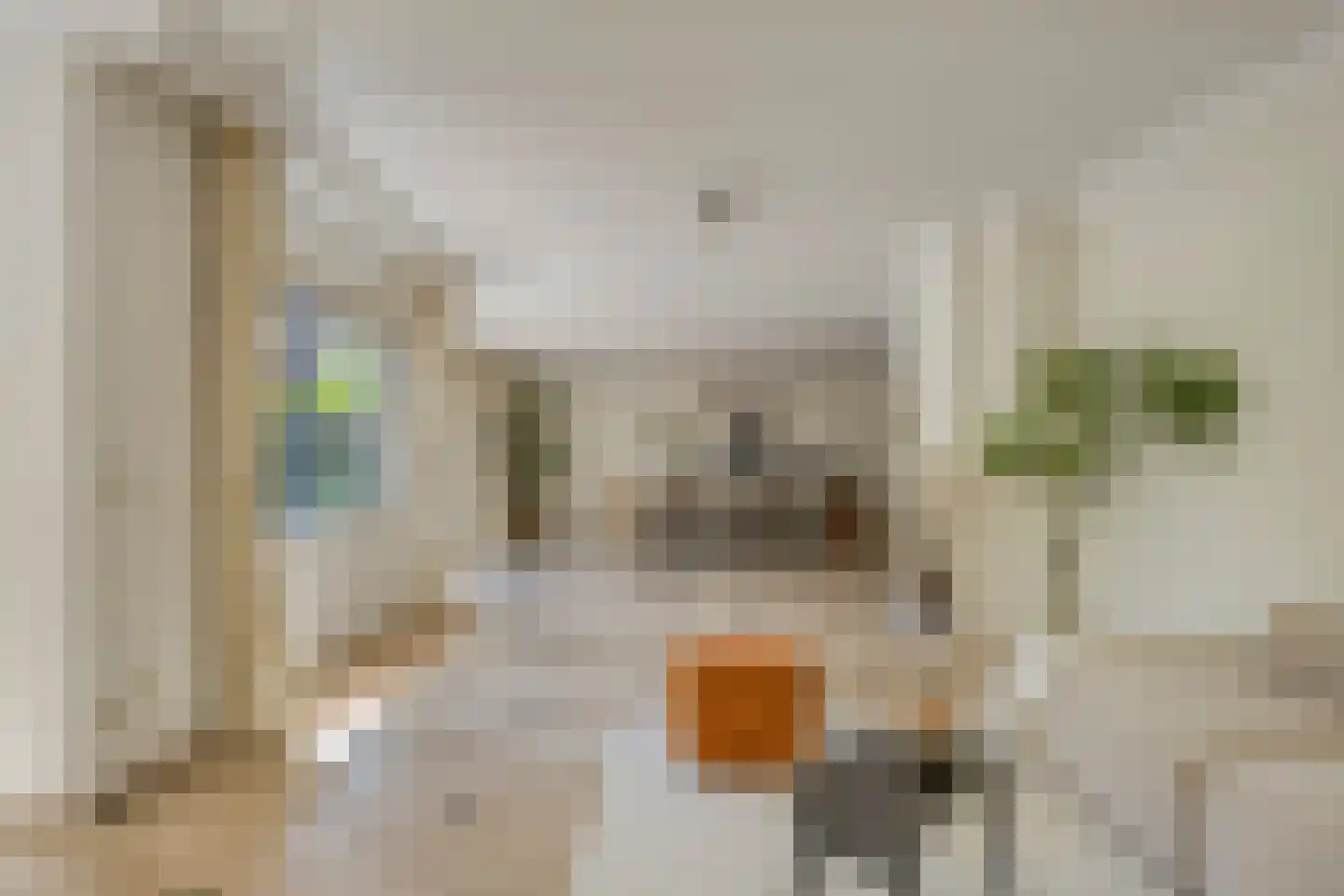 Brugwacht 158 Leiderdorp thumbnail 18