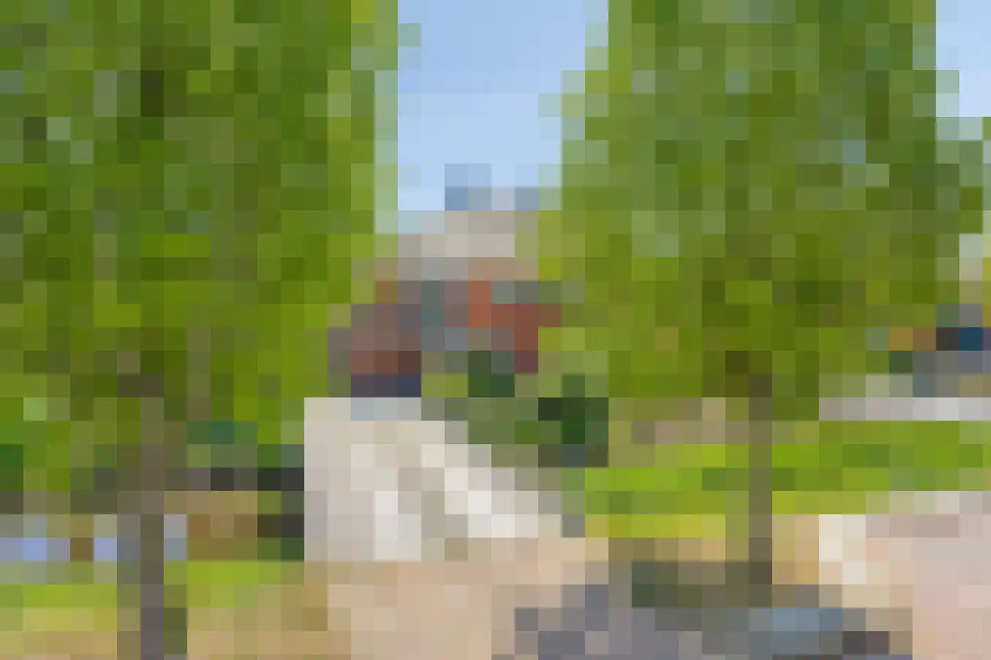 Brugwacht 158 Leiderdorp thumbnail 6