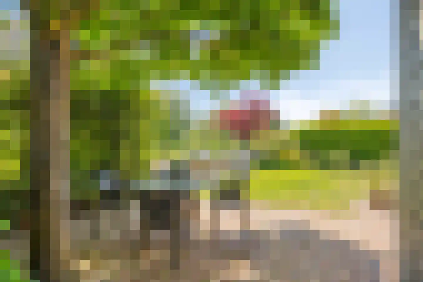 Brugwacht 158 Leiderdorp thumbnail 74