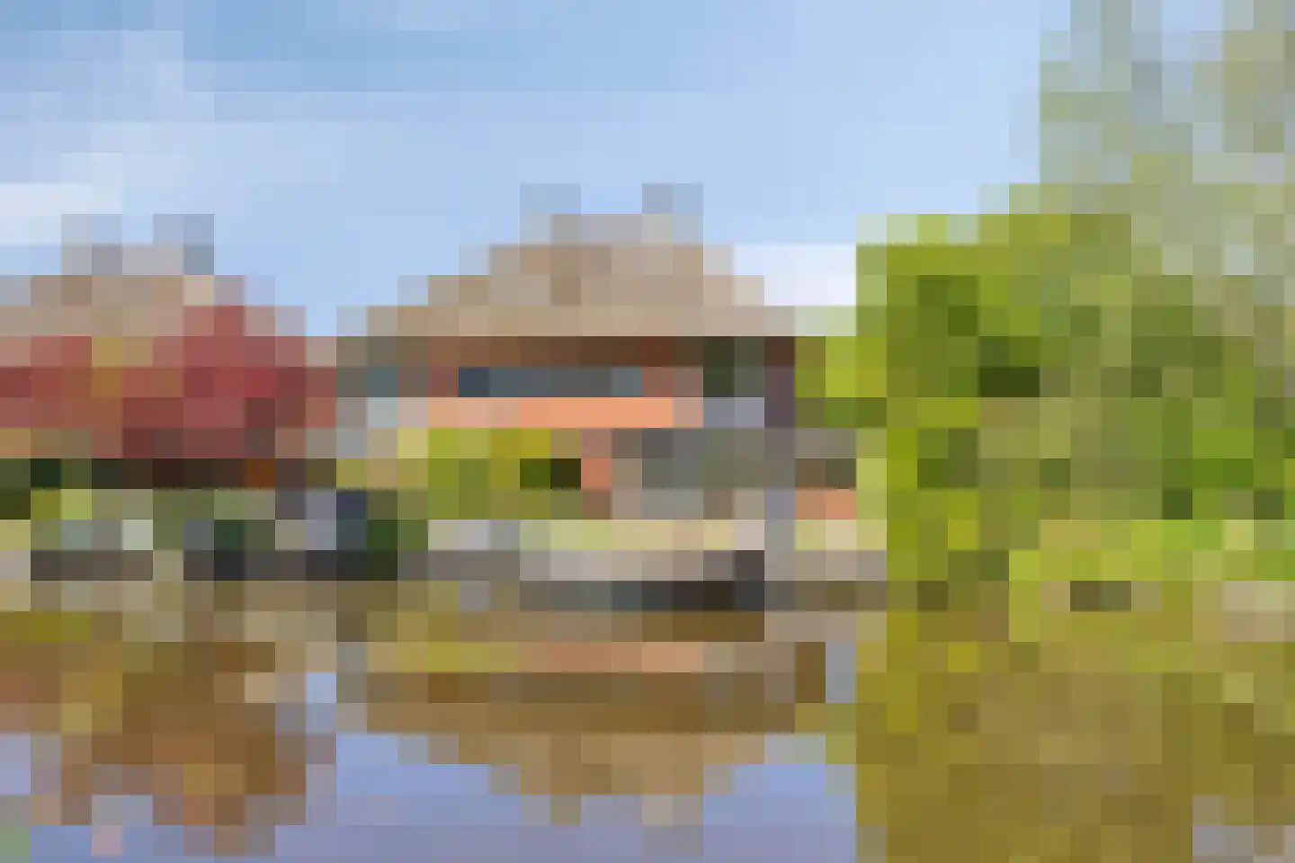 Brugwacht 158 Leiderdorp thumbnail 83