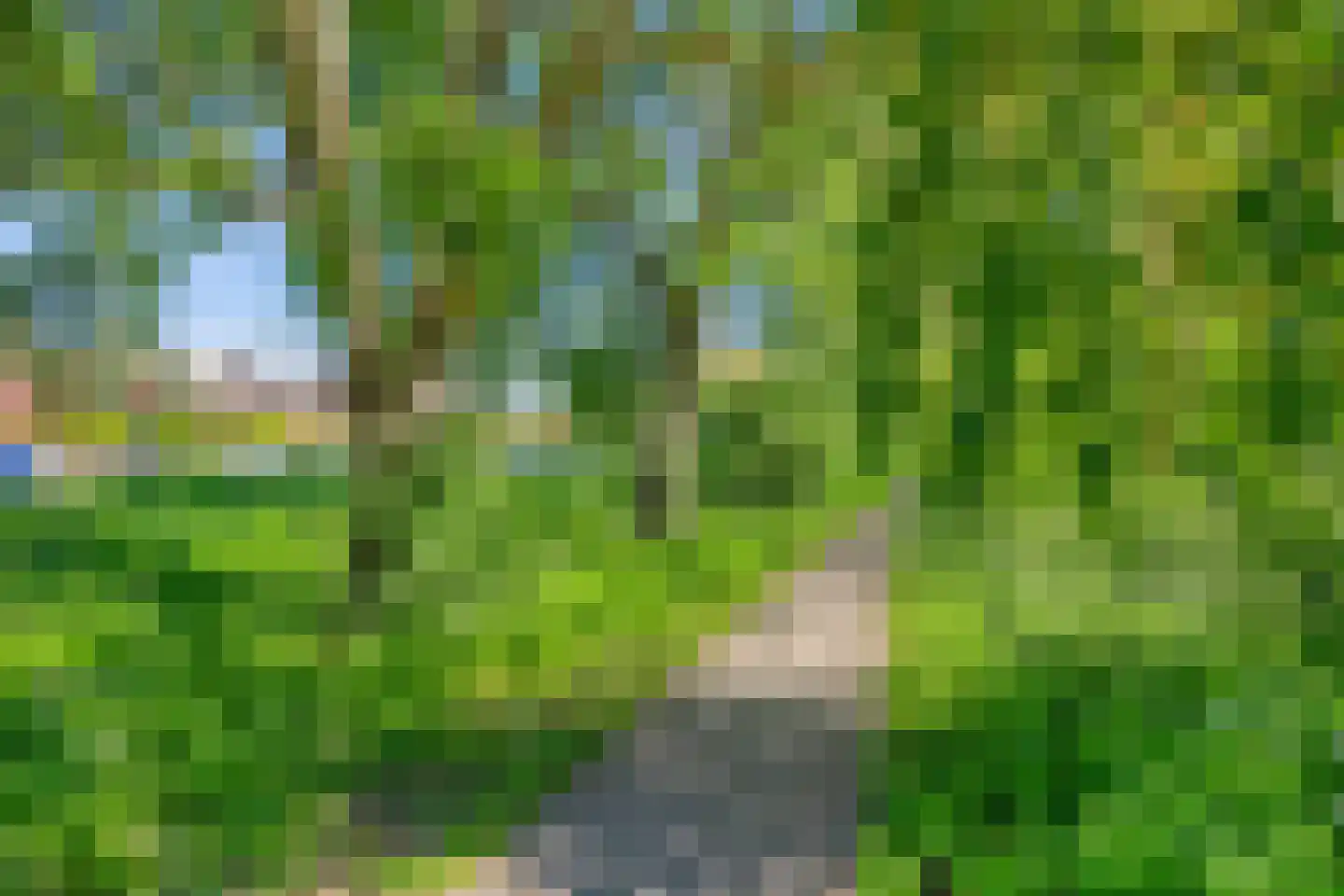 Brugwacht 158 Leiderdorp thumbnail 89