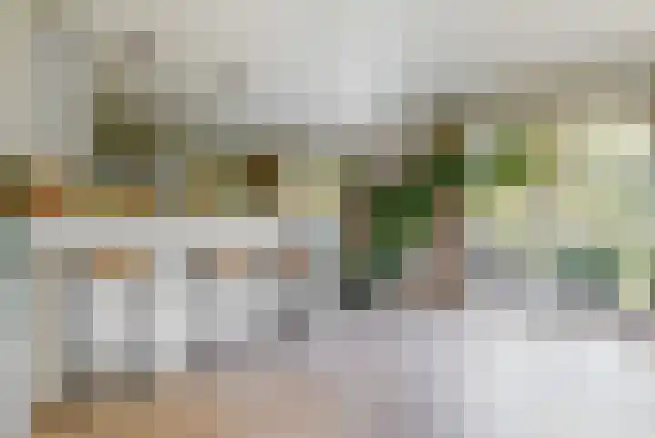 Brugwacht 162 Leiderdorp thumbnail 15