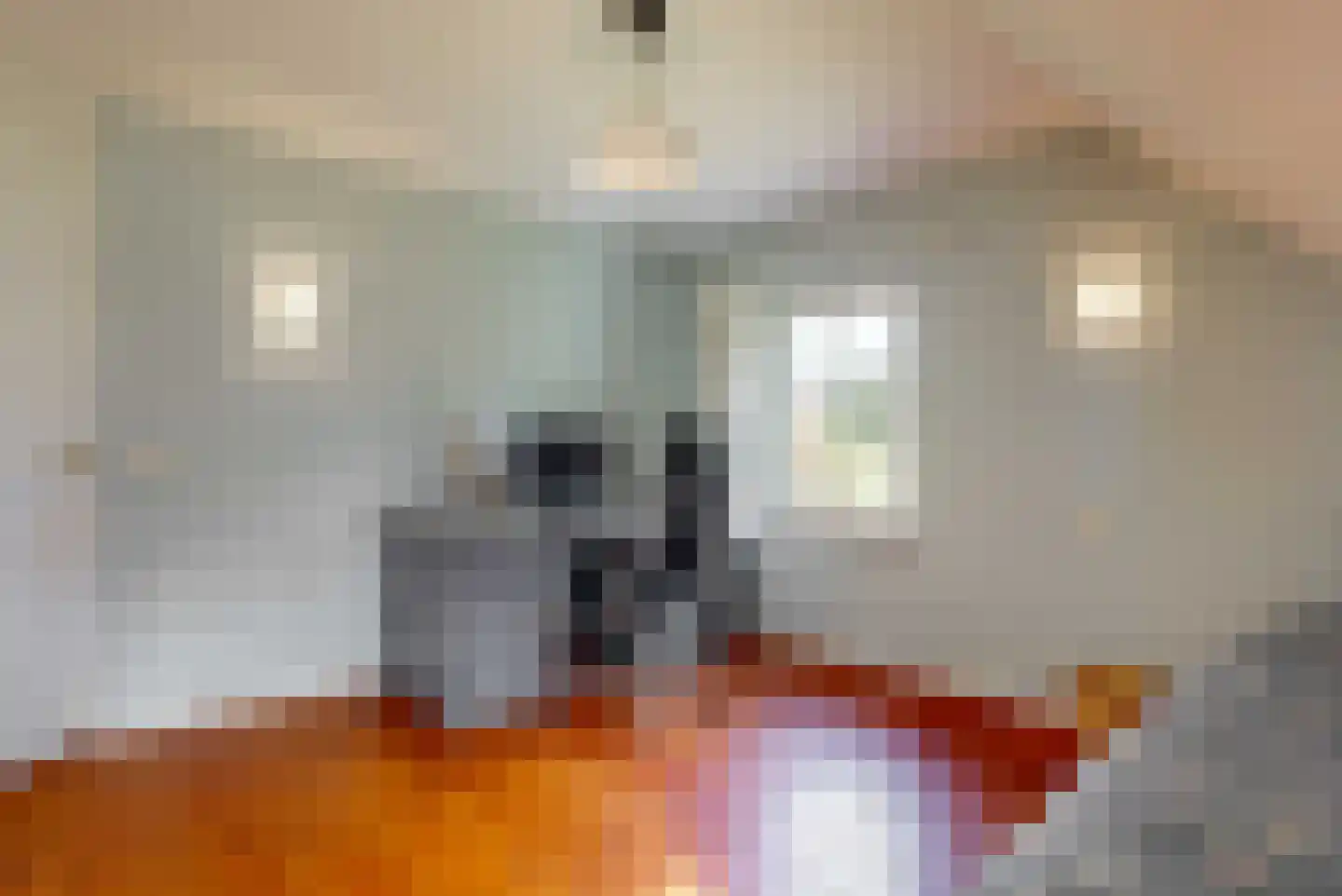 Brugwacht 162 Leiderdorp thumbnail 30