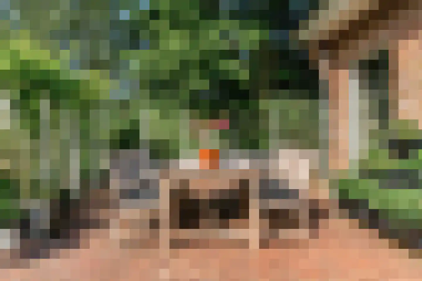Brugwacht 162 Leiderdorp thumbnail 46
