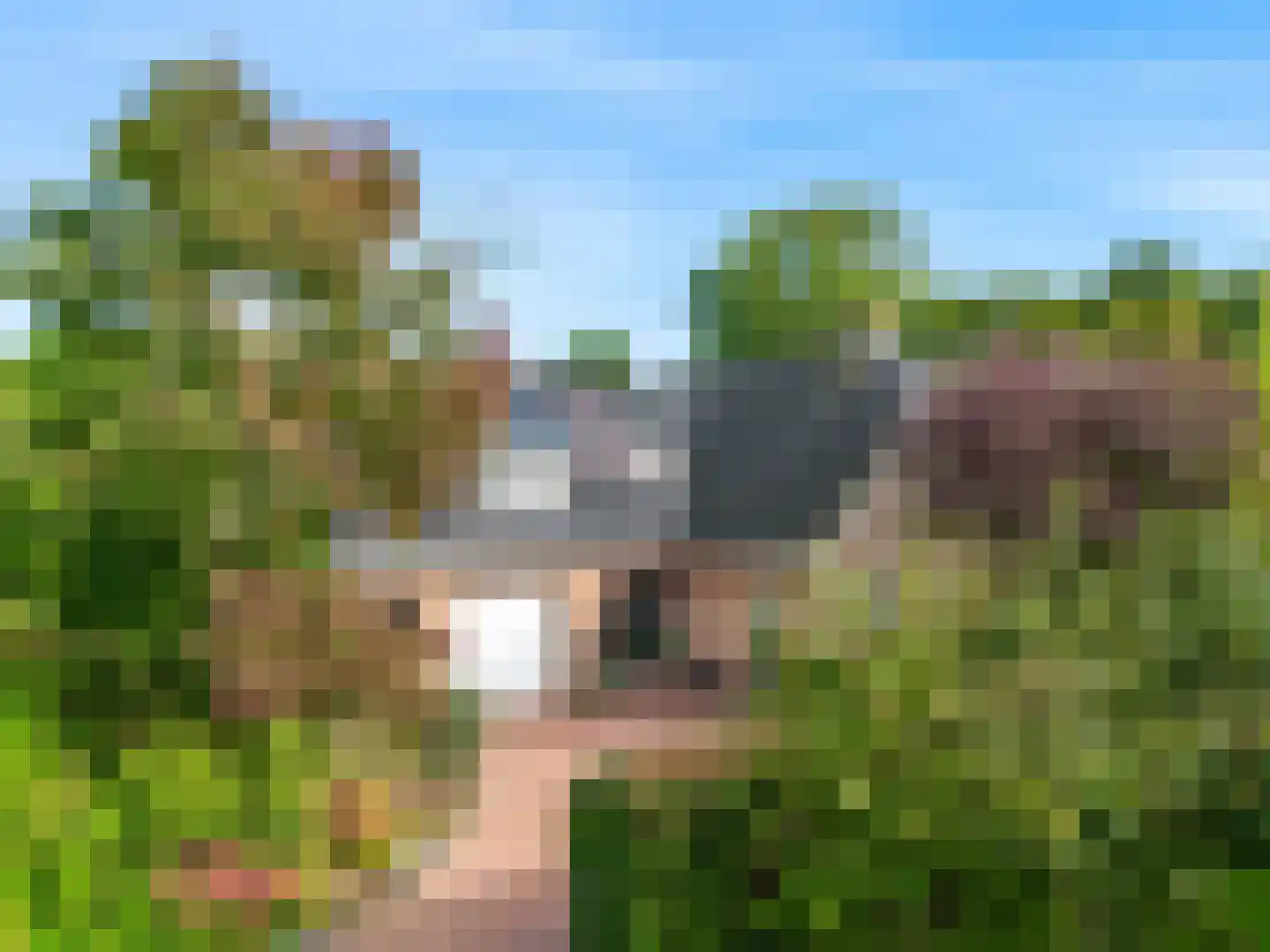 Brugwacht 162 Leiderdorp thumbnail 49
