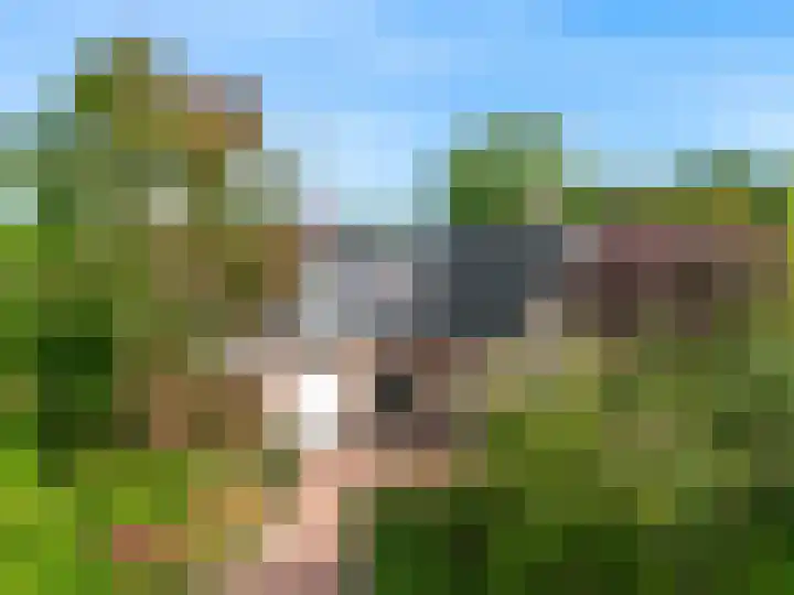 Brugwacht 162 Leiderdorp thumbnail 49