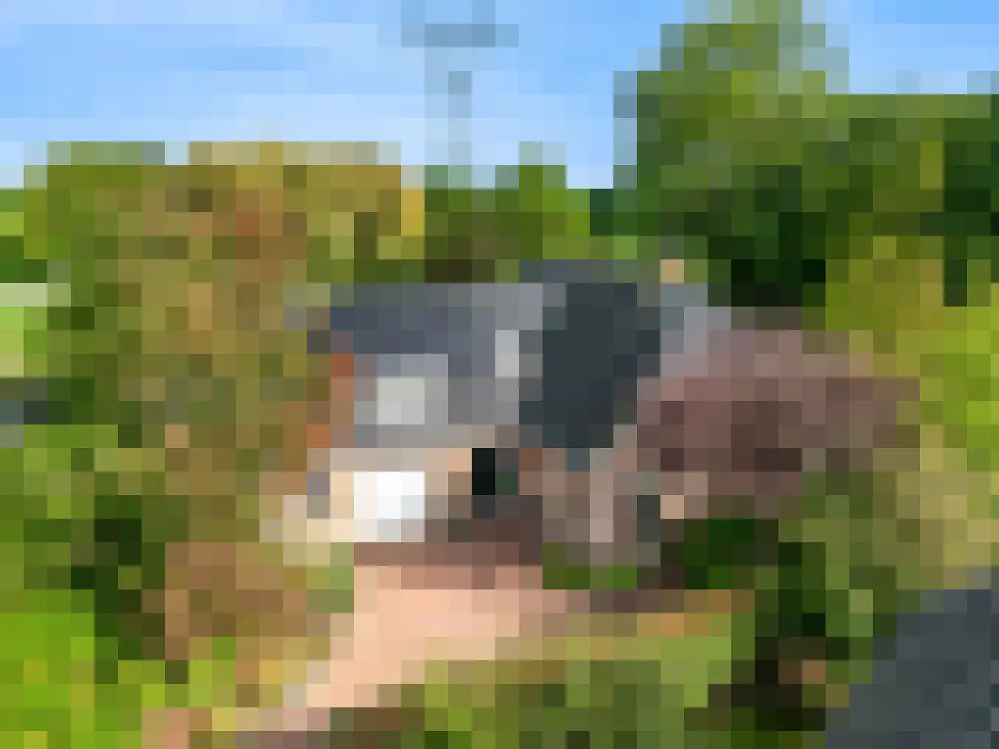 Brugwacht 162 Leiderdorp thumbnail 52