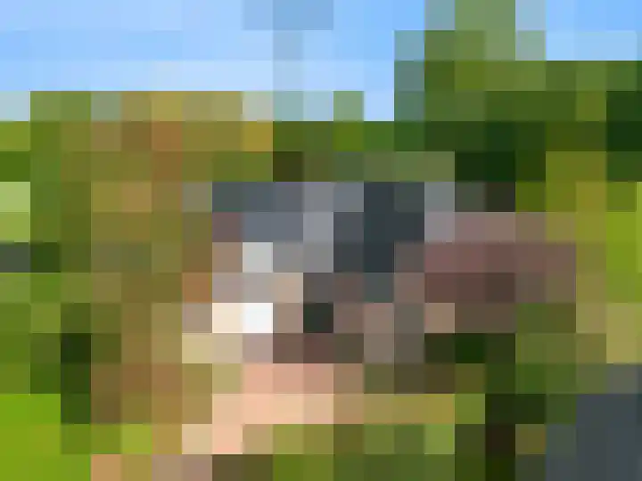 Brugwacht 162 Leiderdorp thumbnail 52