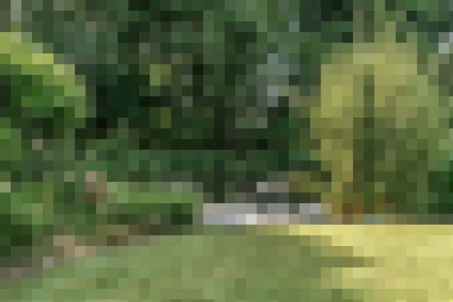 Brugwacht 162 Leiderdorp thumbnail 54